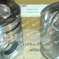 3802170 / 3911400 Поршень Cummins B5.9, 6BT5.9-C